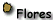 flores.gif (1323 bytes)