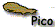 pico.gif (1351 bytes)