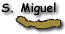 smiguel.gif (1844 bytes)